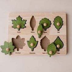 a wooden board with different shapes and sizes of leaves