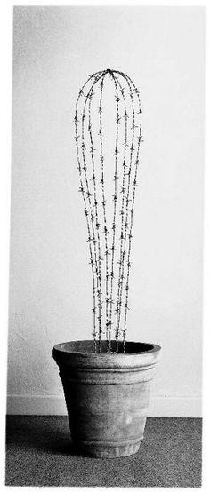 a cactus in a pot with barbed wire on it's top and bottom part