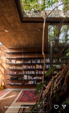 the interior of a house with bookshelves and plants on the floor in front of it