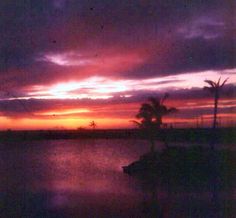 the sun is setting over water with palm trees in the foreground and clouds in the background