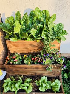 a wooden planter filled with lots of green plants