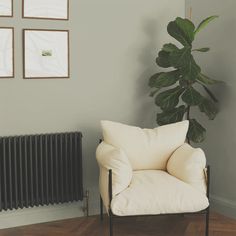 a white chair sitting in front of a wall with pictures on it and a potted plant