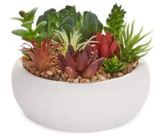 a white planter filled with lots of different types of succulents and plants