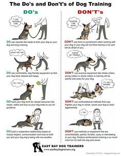 a poster with instructions on how to train a dog in the same way as it is