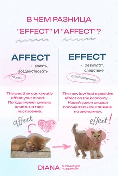 two kittens are shown with the words effect and effect in front of each other