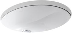 a white bathroom sink with an oval shaped faucet on the front and side