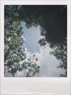 a polaroid photograph of the sky and trees in front of some power lines, taken from ground level