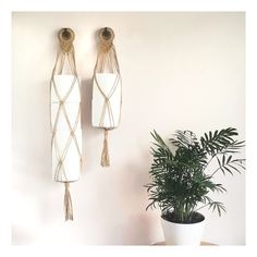 two decorative wall hangings on the side of a white wall next to a potted plant