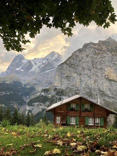 a cabin in the mountains with green shutters