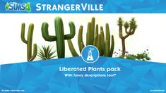 a blue and white poster with some plants in the background, including cacti