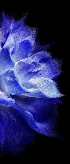 a blue flower is shown in the dark