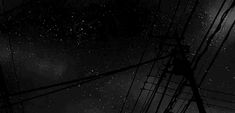 black and white photograph of power lines with stars in the sky