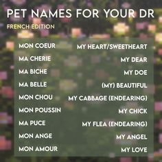 the words pet names for your dog written in white on a green field with pink flowers