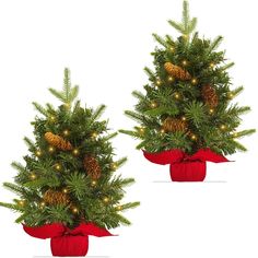 two small christmas trees with pine cones and lights in red bows on white back ground