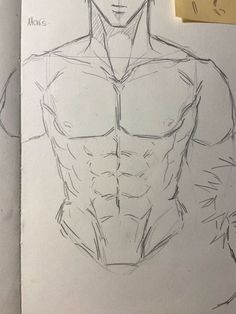 a drawing of a man's torso and chest