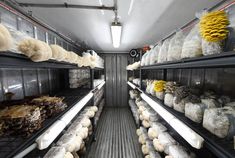 the inside of a food truck filled with lots of different types of breads and pastries