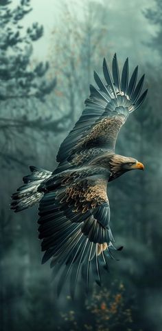 an eagle is flying through the air with its wings spread out in front of trees