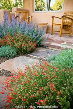 the flowers are blooming in front of the house and on the steps to the patio