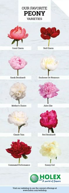 an advertisement with flowers in different colors