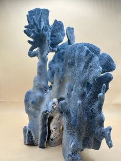 two blue corals sitting next to each other on a table