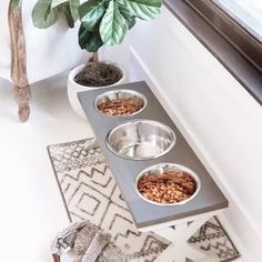 three metal bowls with food in them on a table next to a potted plant