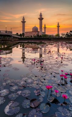 the sun is setting over water with lily pads in front of it and two towers