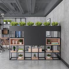 an office space with plants and shelves on the wall