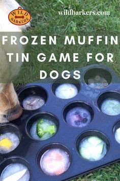 the frozen muffin tin game for dogs is great for kids and adults alike to play with