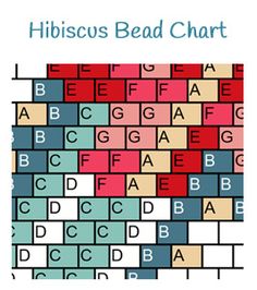 a book cover with the words hibiscus bead chart