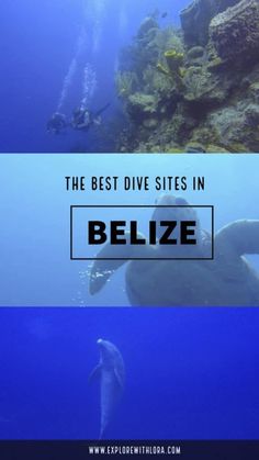 the best dive sites in belize, italy with text overlaying it and below