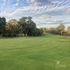 a green golf course with trees in the background