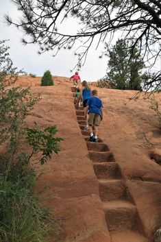 three people climbing up some steps in the dirt with trees on each side and one person standing at the top