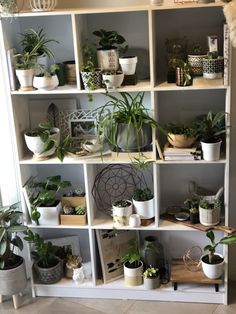 a book shelf filled with lots of house plants