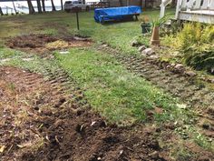 a yard with grass and dirt in the foreground