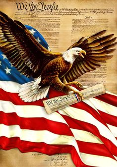 an eagle with the american flag on it's back is flying in front of a declaration