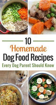 the top ten homemade dog food recipes