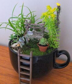 a miniature garden in a coffee cup on a table