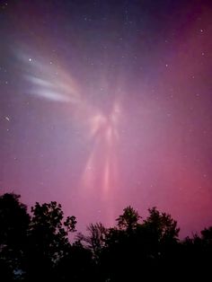 the aurora bore is visible in the night sky above some trees and bushes, as well as stars