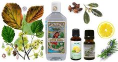 an assortment of essential oils and leaves on a white background