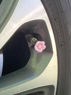 a pink flower sticking out of the side of a silver car door handle and tire