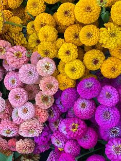 many different colored flowers with green leaves