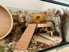 a display case filled with lots of fake animals and plants on top of wooden steps