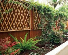 a wooden fence surrounded by plants and other greenery