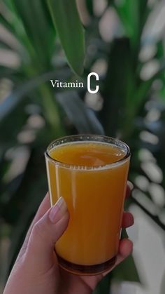 a hand holding a glass filled with orange juice