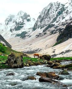 Beautiful Sonmarg ❤️ Sonmarg Kashmir Photography, Kashmir Itinerary, Sonmarg Kashmir, Aru Valley, Jaipur Tourism, Vintage Kashmir, India Landscape