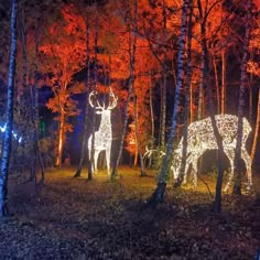 two deer statues in the middle of a forest with trees lit up at christmas time