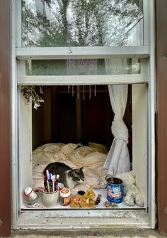 a cat is sitting in the window sill