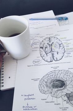 a cup of coffee sitting on top of a table next to papers and pencils