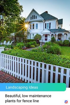 landscaping ideas beautiful low maintenance plants for fence line in front of house with white picket fence