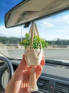 a person holding up a small plant in a car window hanging from the dash board